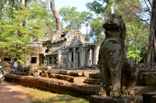 塔普倫寺 Ta Prohm