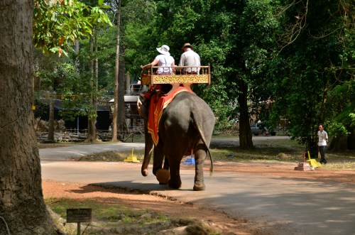 大吳哥 Angkor Thom 巴揚寺 Bayon 大象