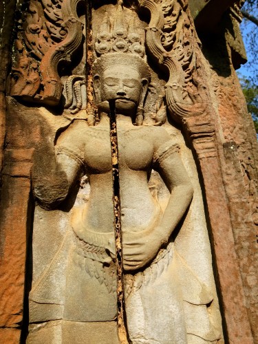塔普倫寺Ta Prohm
