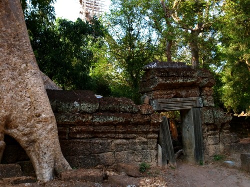 塔普倫寺 Ta Prohm