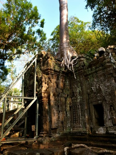 塔普倫寺 Ta Prohm