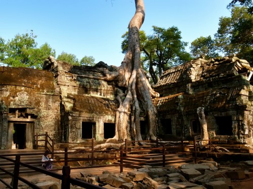 塔普倫寺 Ta Prohm
